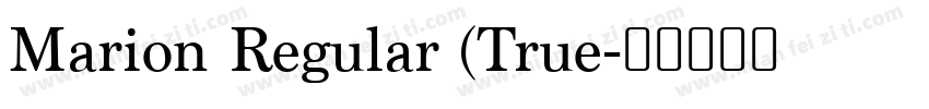 Marion Regular (True字体转换